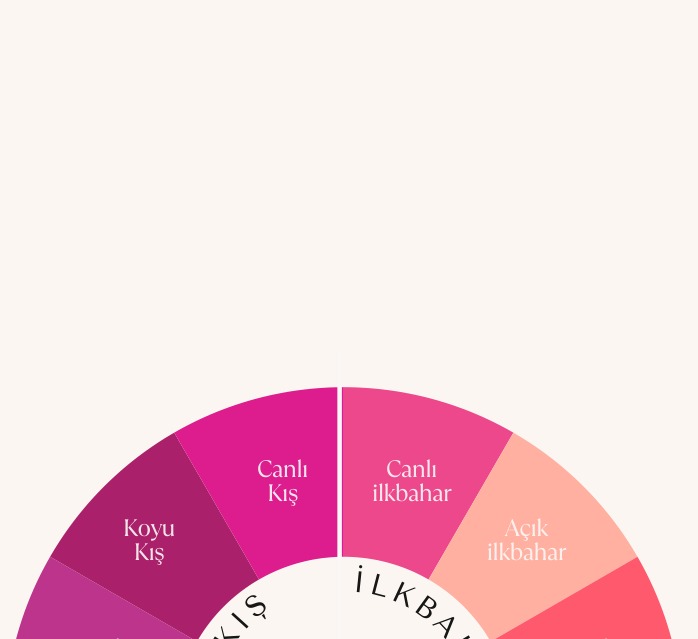 12-season color analysis wheel